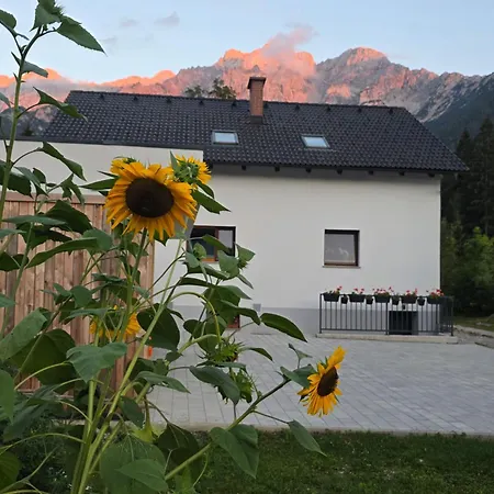Apartment Alaka